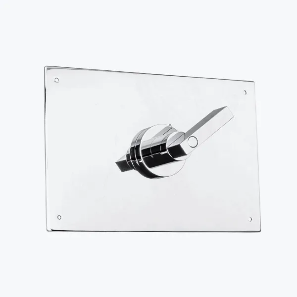 Piet Decorative plate and flushing lever handle for GEBERIT system