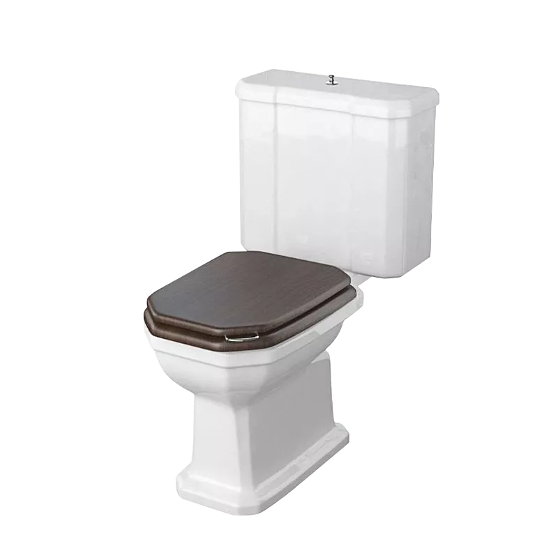  Volevatch Sanitaryware Art Déco toilet and cistern with flush mechanism and pop up knob