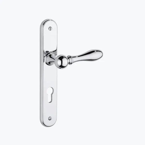  Volevatch Bistrot Door handle on plate with key hole