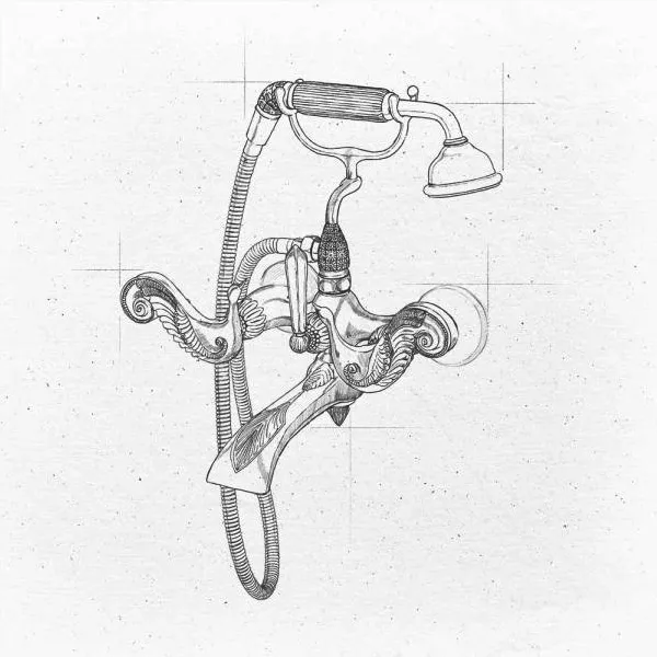  Volevatch Birds of Paradise 0