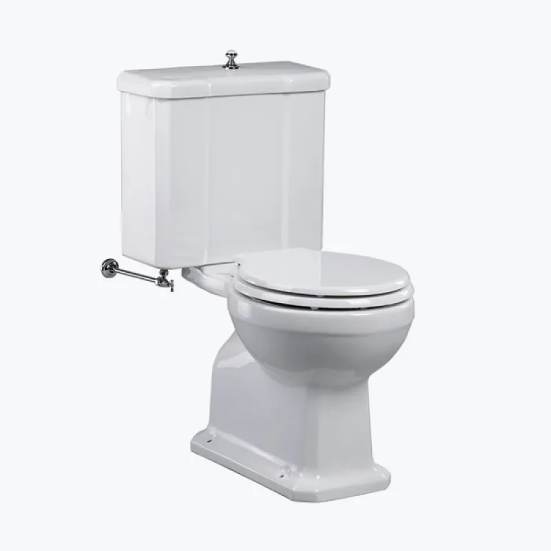  Volevatch Sanitaryware Neoclassic toilet and cistern with flush mechanism and pop up knob