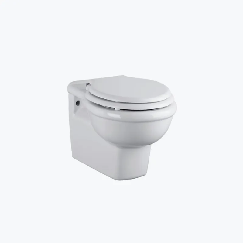 Palladio wall-mounted toilet, without cistern