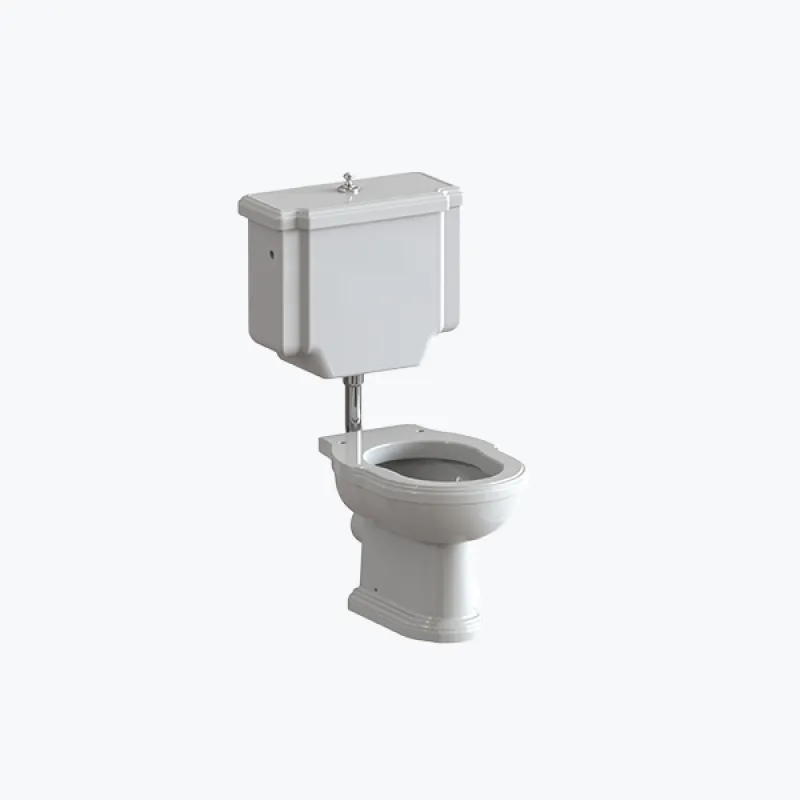 Victor toilet with horizontal outlet and cistern with low level cistern, flush mechanism and pushbutton