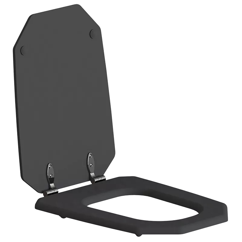  Volevatch WC Abattant noir pour WC Art Déco